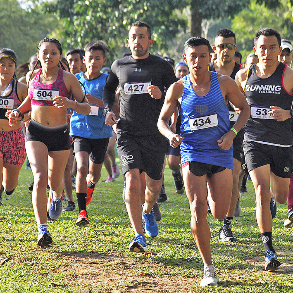 Cross-Country-abierta