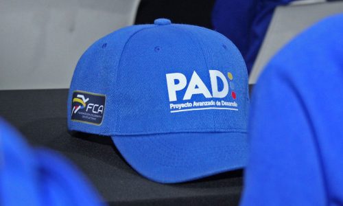 Proyecto-PAD-gorra